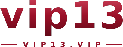 vip13 logo